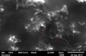 Fig 10
