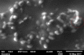 Fig 13