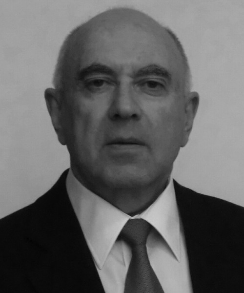 Alexander Gamus, MSc