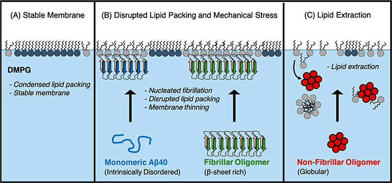 Figure 10.