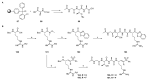 Scheme 6