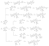 Scheme 5