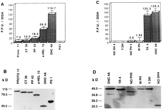 FIG. 8