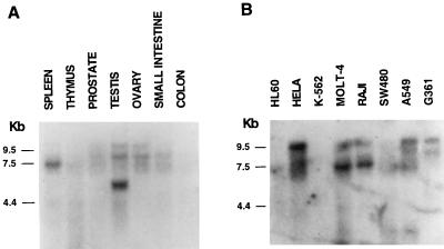 FIG. 6