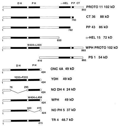 FIG. 9