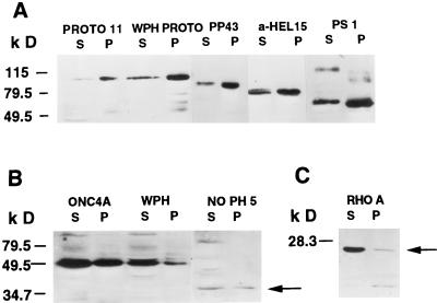 FIG. 10