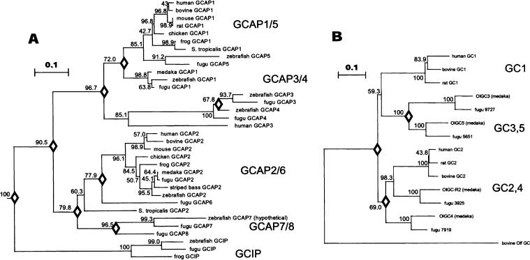 Fig. 6.