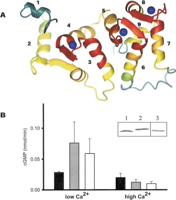 Fig. 3.