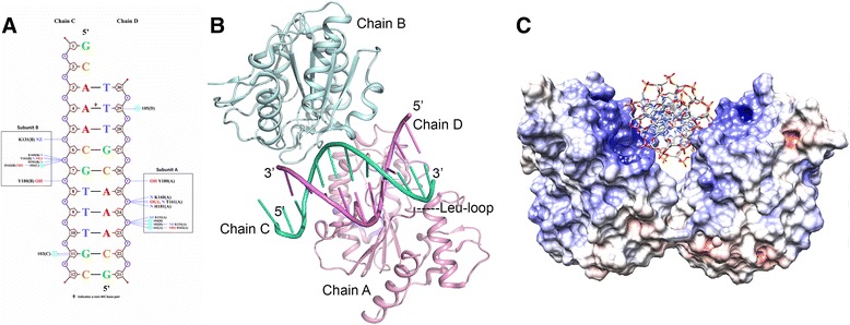 Fig. 2