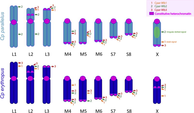 Fig.3