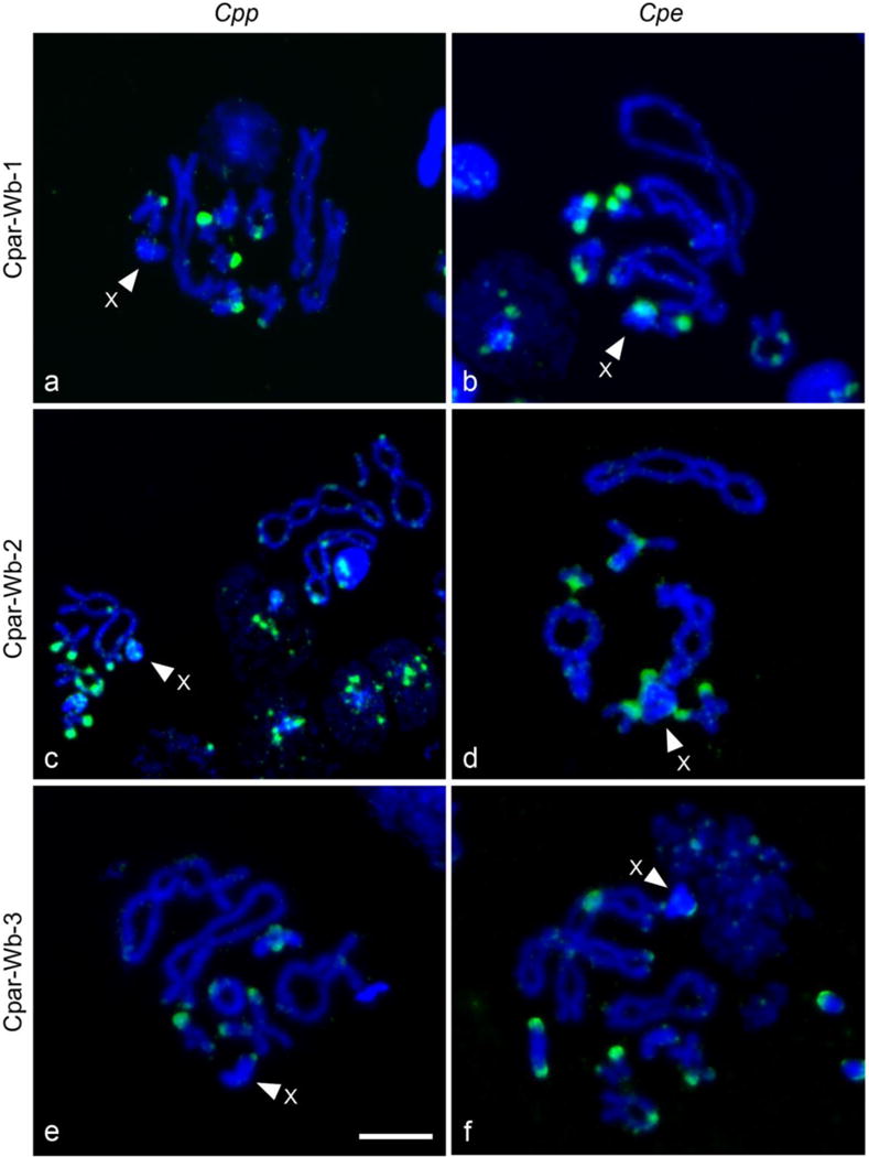 Fig.1