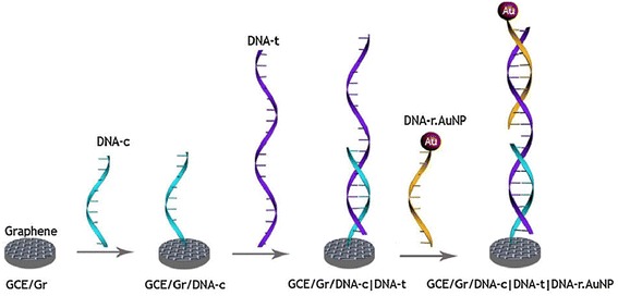 Fig. 2