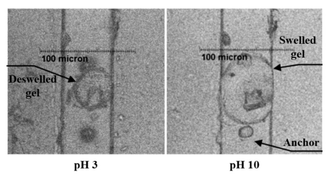 Figure 15