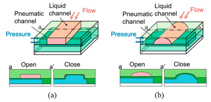 Figure 11