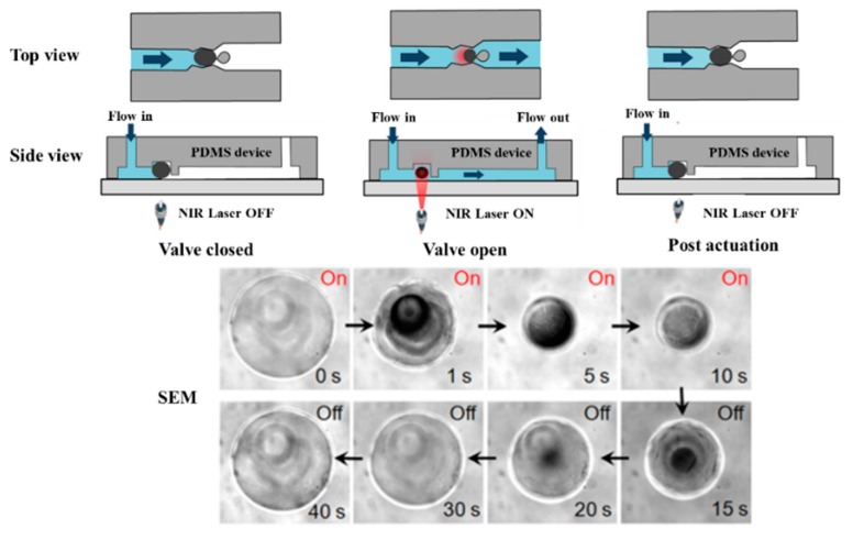 Figure 13