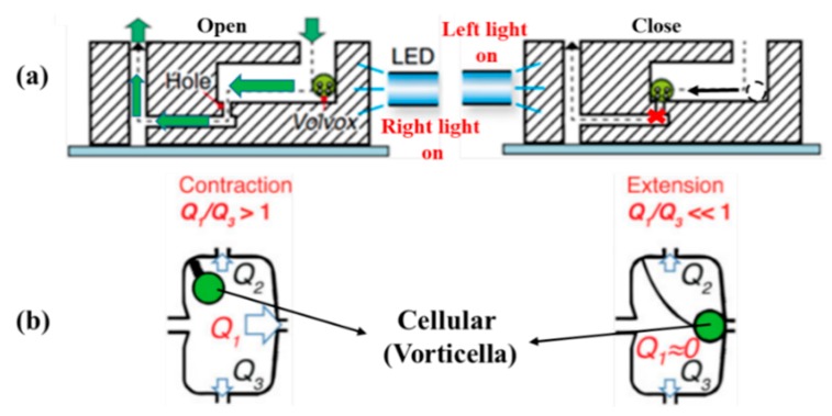 Figure 19