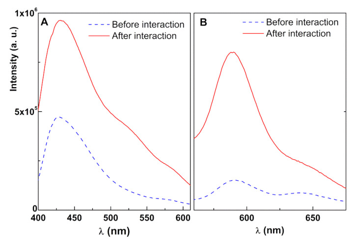 Figure 12