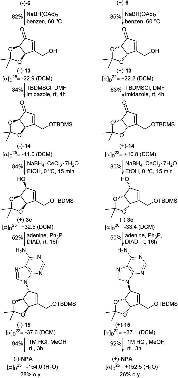 Scheme 5