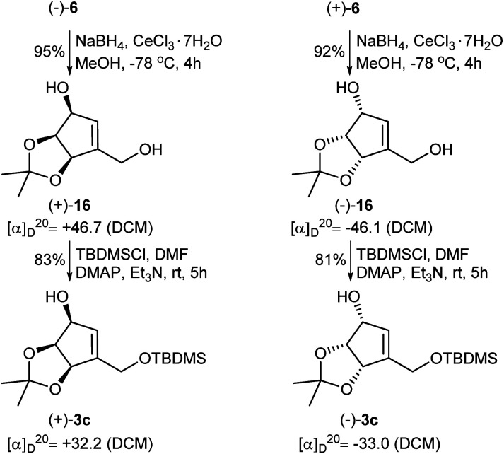 Scheme 6