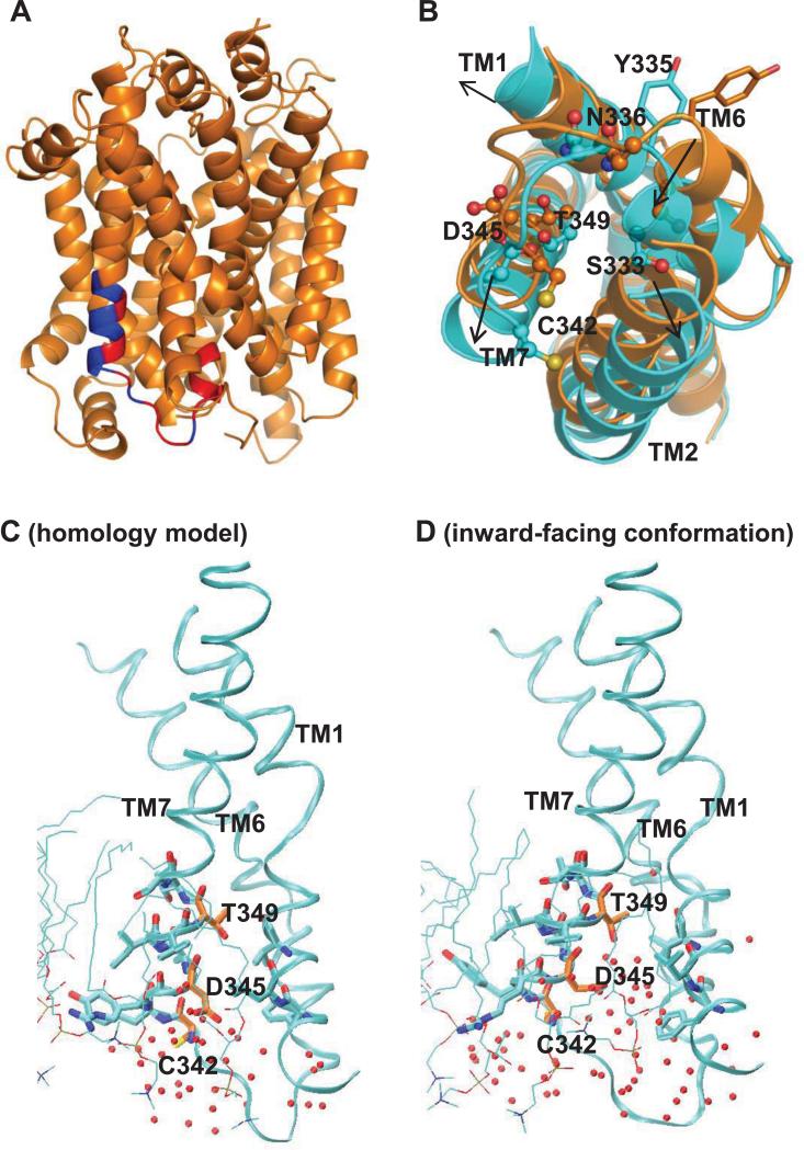 Figure 7