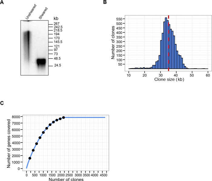 FIG 1 