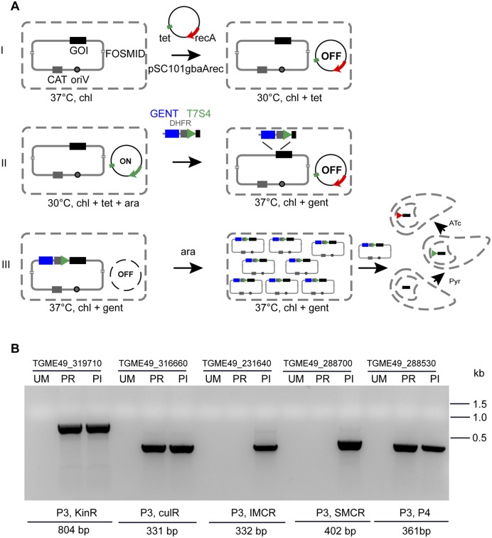 FIG 3 