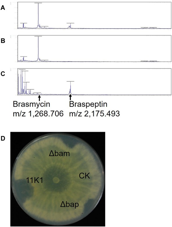 FIGURE 5