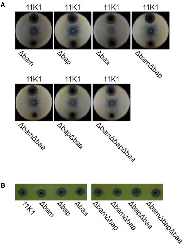 FIGURE 3