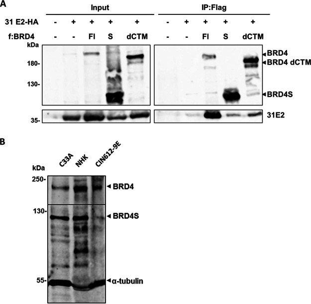 FIG 3