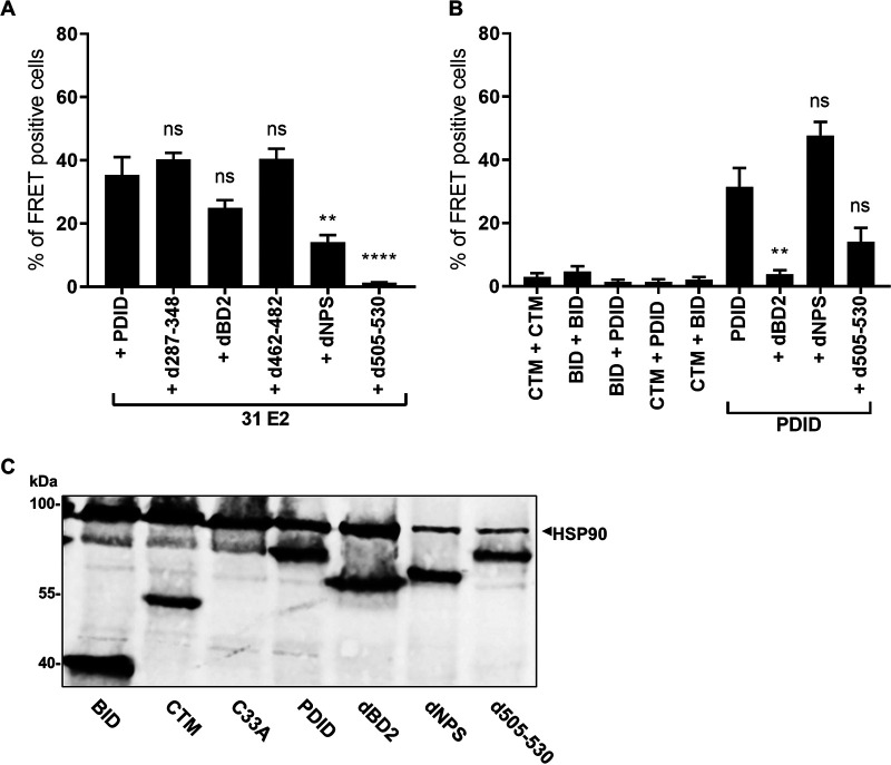 FIG 2