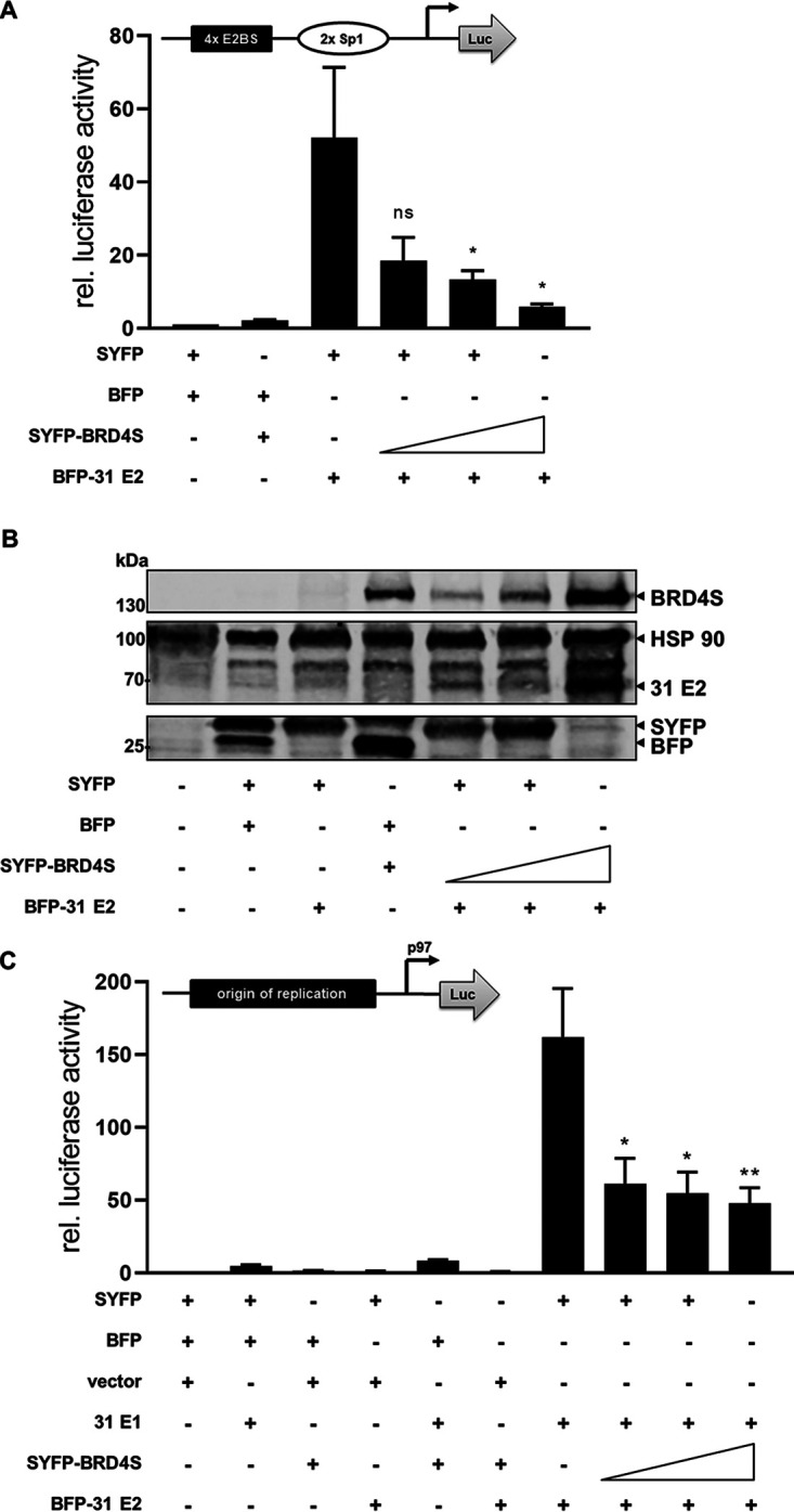 FIG 5