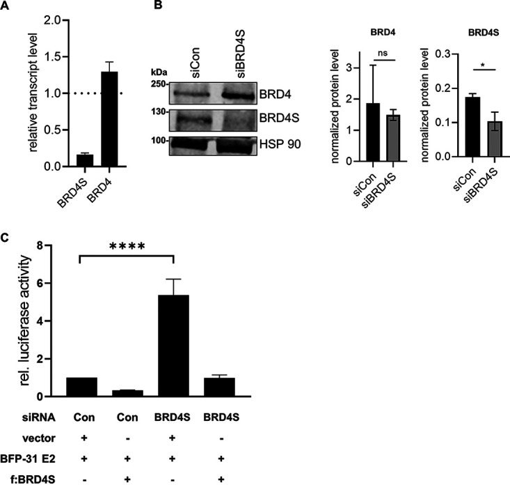 FIG 6