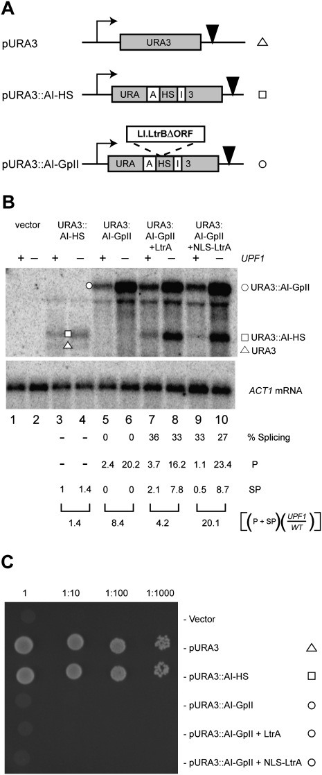 Figure 6.