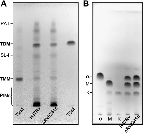 FIG. 5.