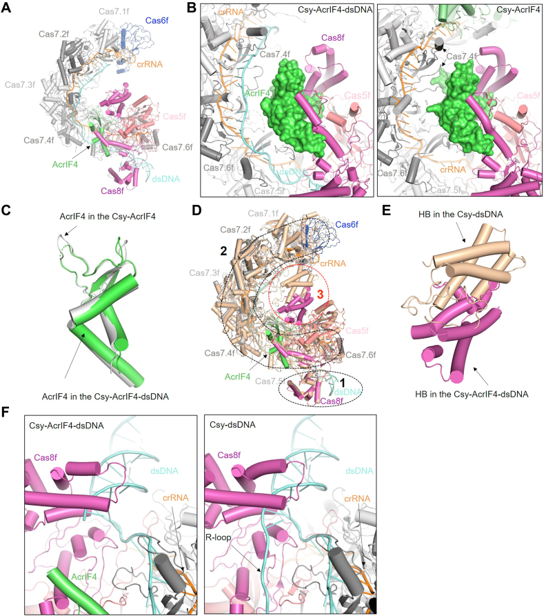 Figure 2