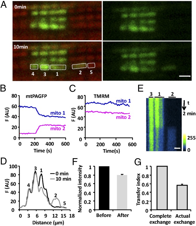 Fig. 2.