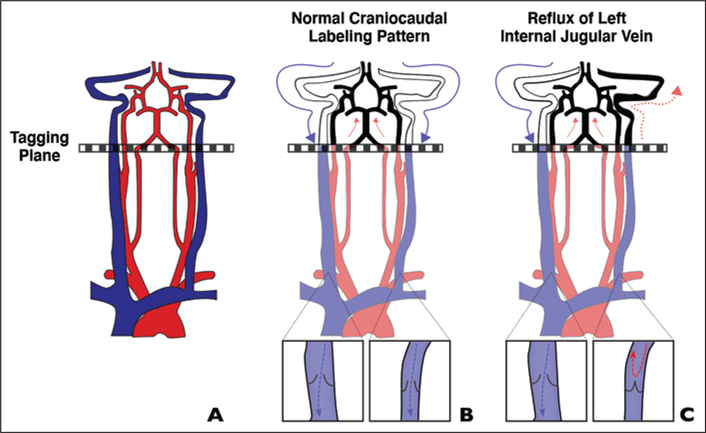 Fig. 5—