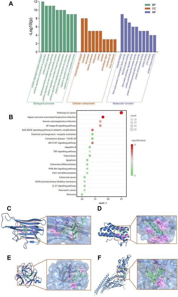 FIGURE 3