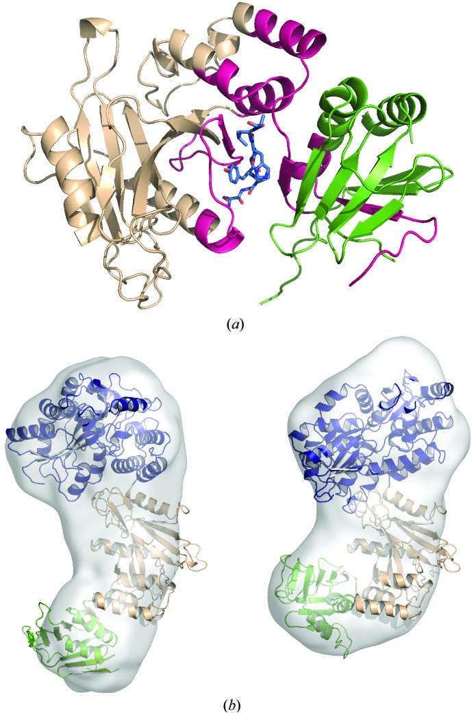 Figure 7