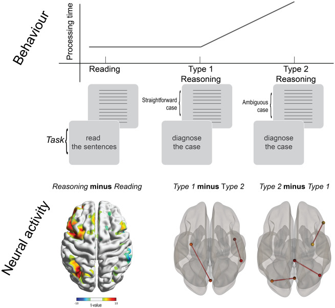 Graphical Abstract