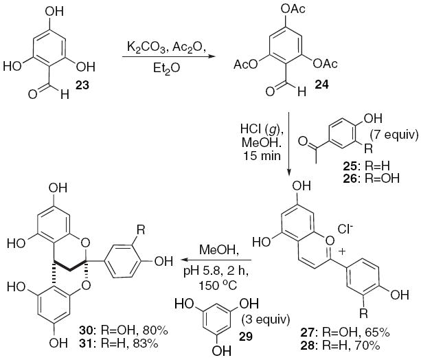 Scheme 5