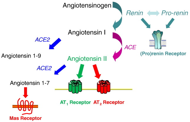 Fig. 1