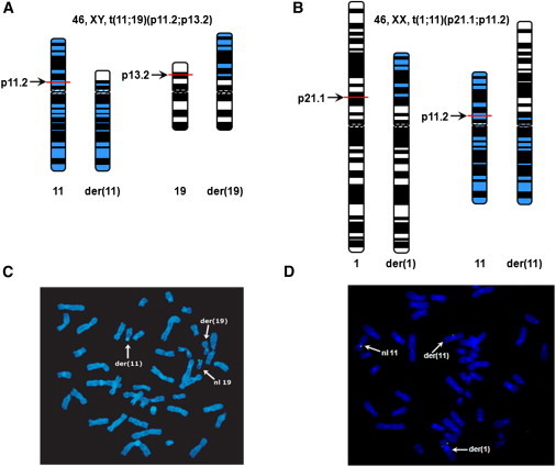 Figure 1