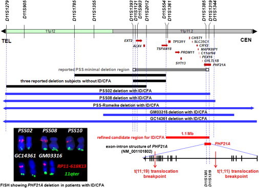 Figure 3