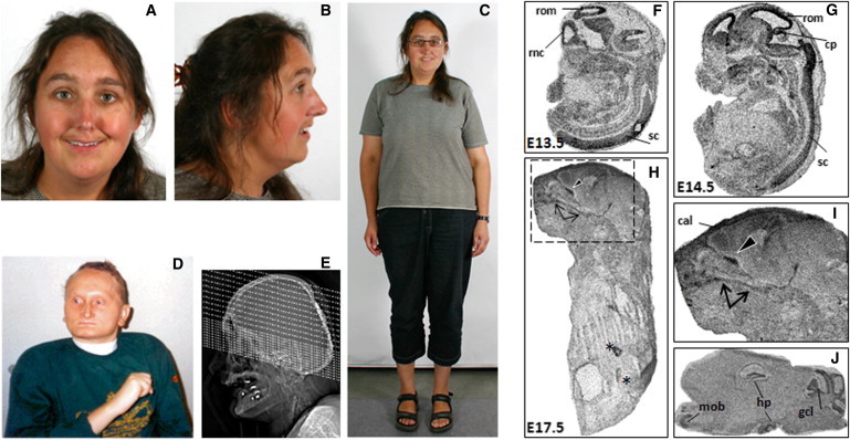 Figure 4