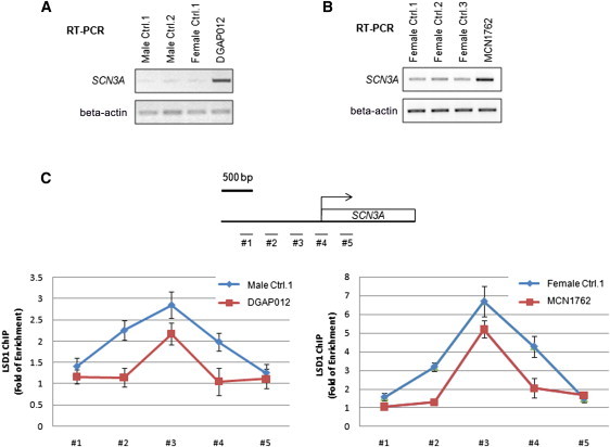 Figure 6