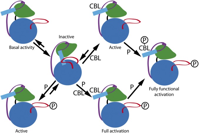 Fig. 6.