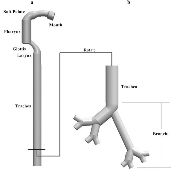 Fig. 1