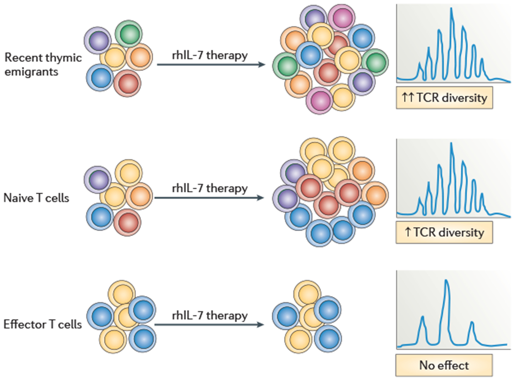 Figure 4 |