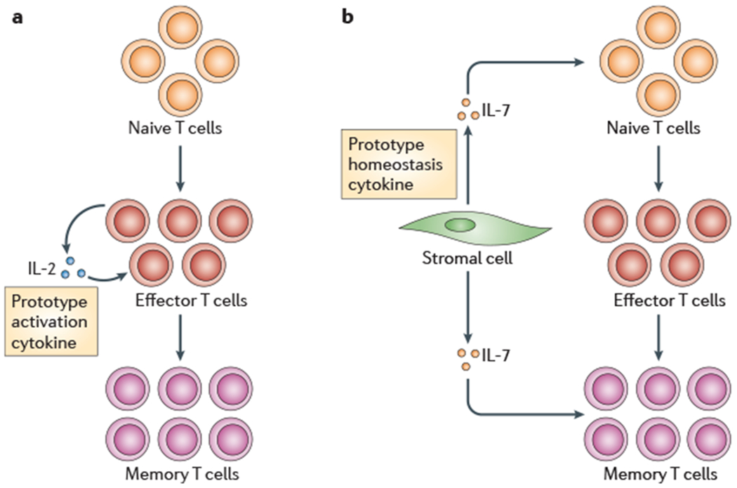 Figure 3 |